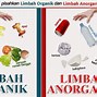 Limbah Padat Organik